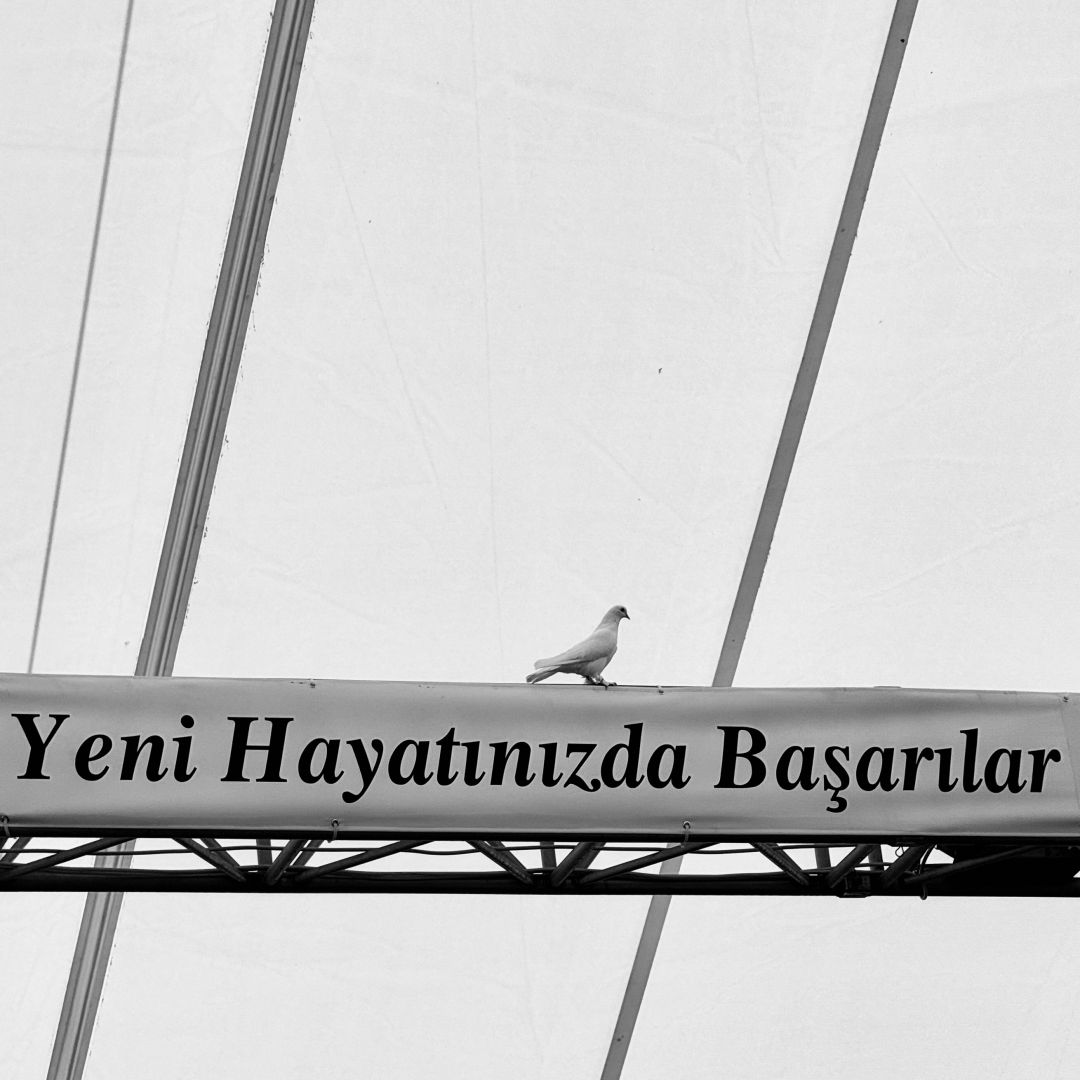 Şüheda Bice : Mutsuzluğa Var Olanlar İçin Yeni Bir Hayat