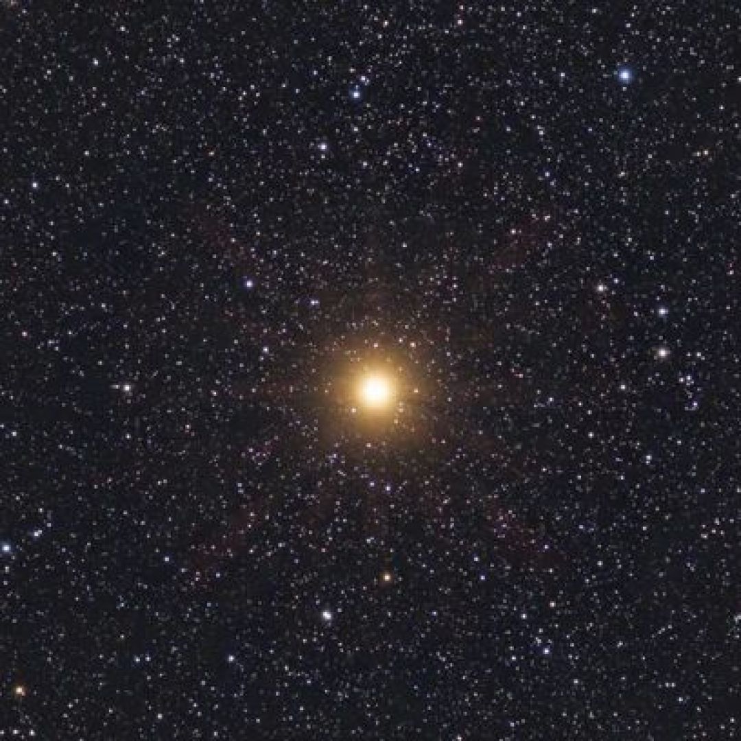 Şeyma Söyletmez : Betelgeuse